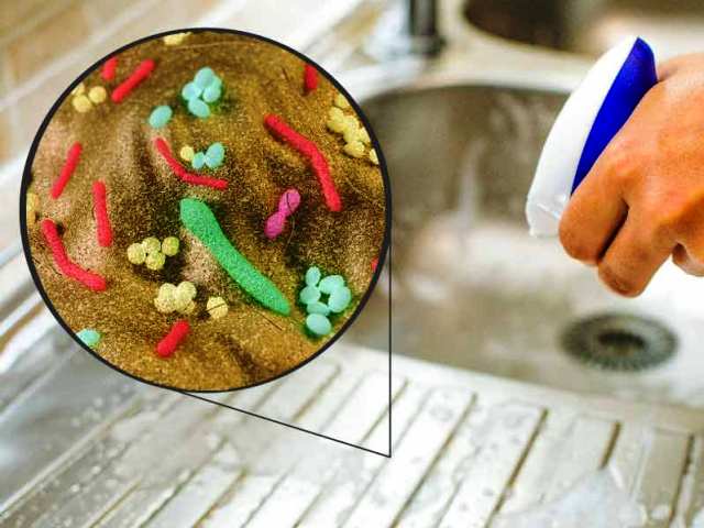 бактерии на кухне