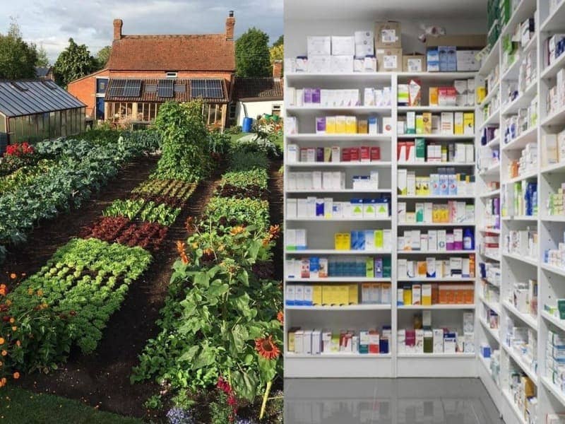 Аптечные средства для сада и огорода