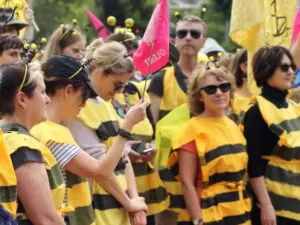 против вымирания пчел